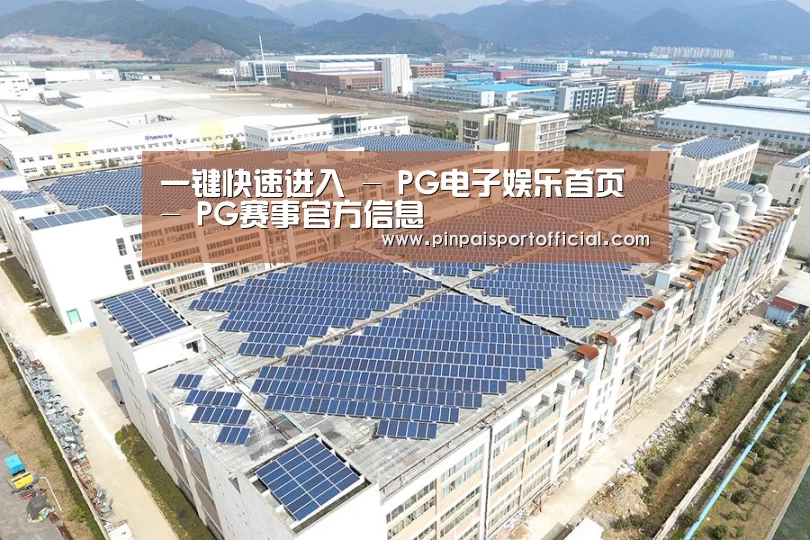 案例展示一